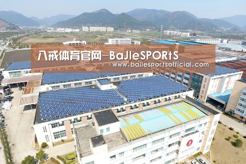 案例展示四