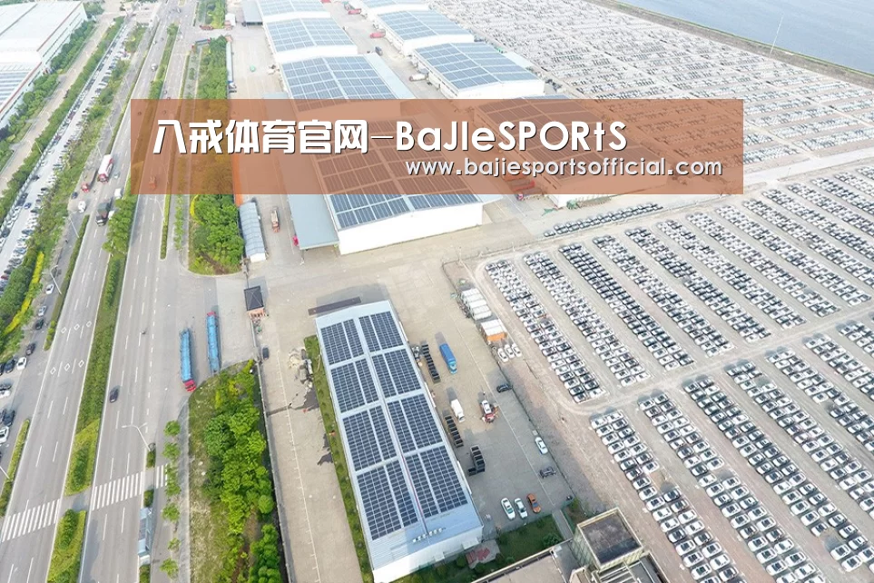 案例展示四