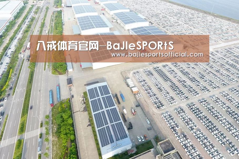 案例展示三