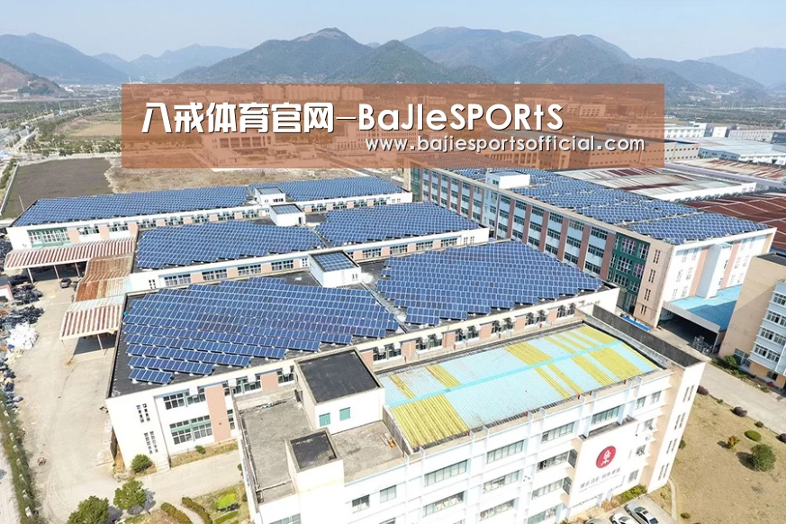 案例展示三