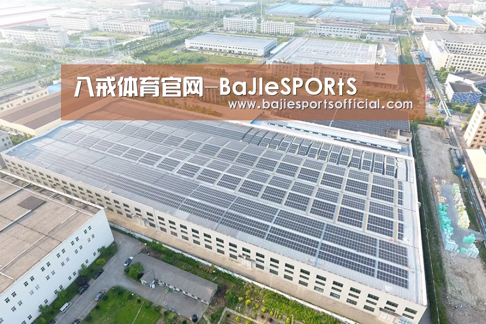 案例展示四
