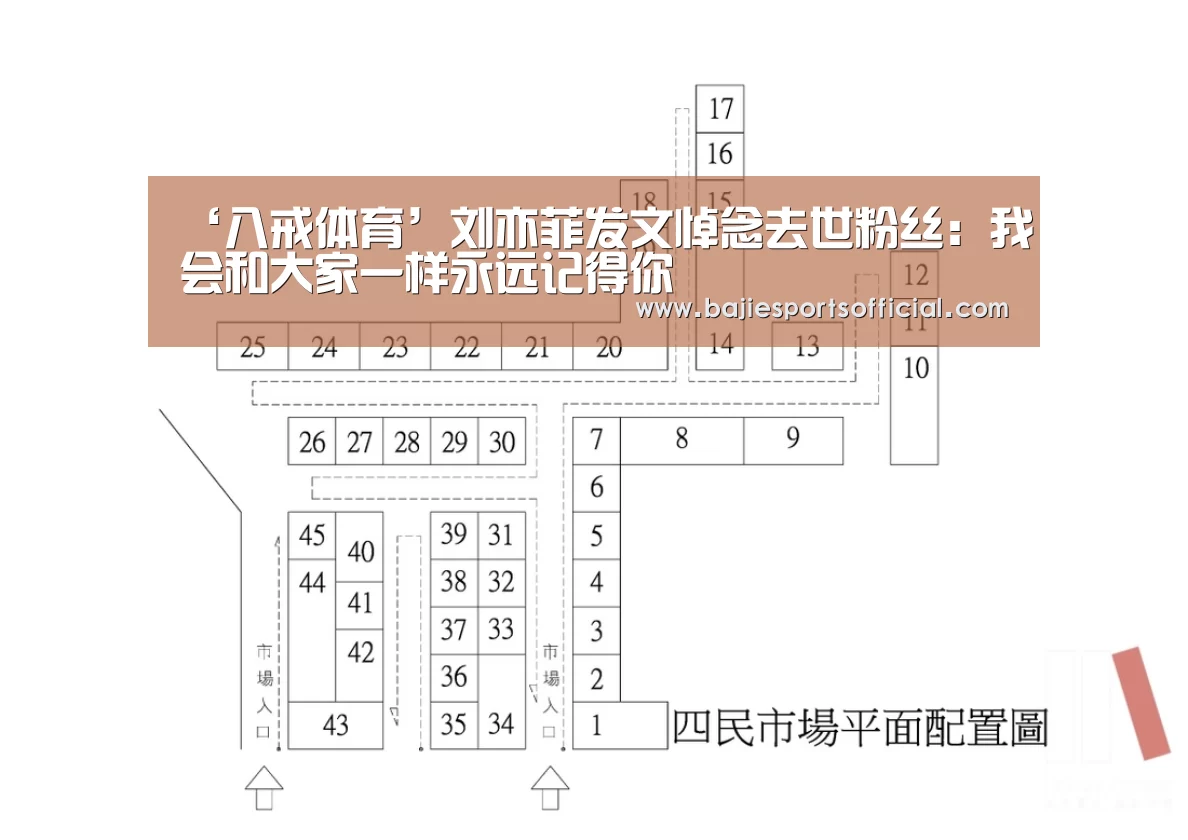 ‘八戒体育’刘亦菲发文悼念去世粉丝:我会和大家一样永远记得你(图1) 八戒体育官网