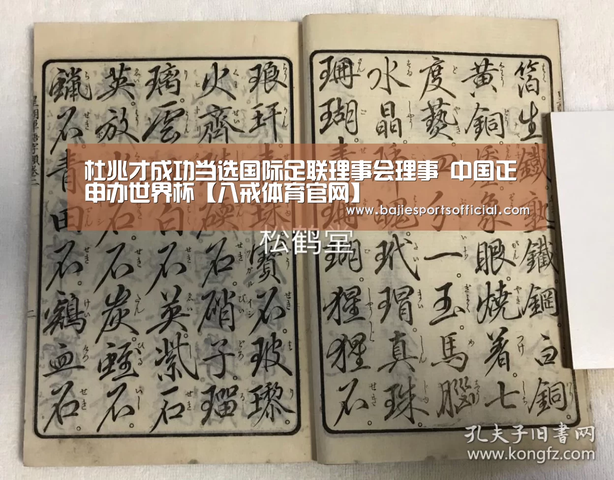 杜兆才成功当选国际足联理事会理事 中国正申办世界杯【八戒体育官网】(图1) 八戒体育
