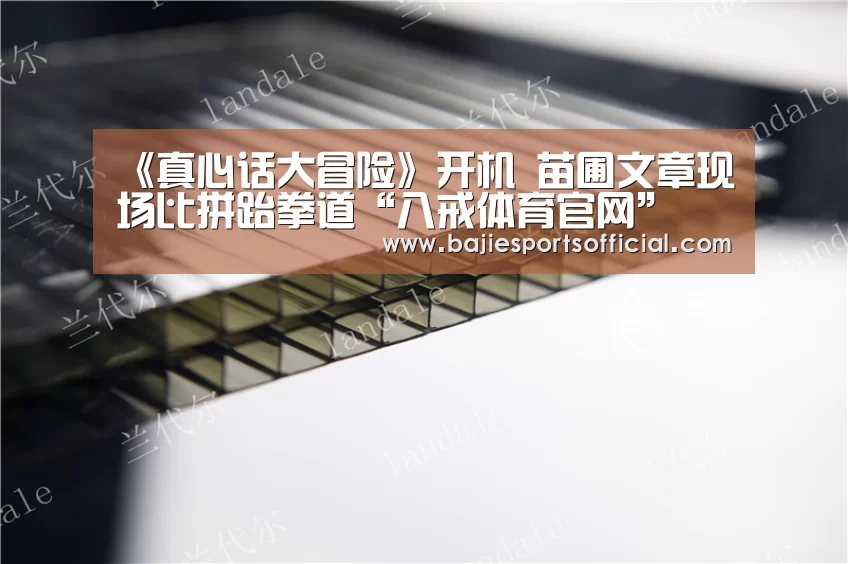 八戒体育