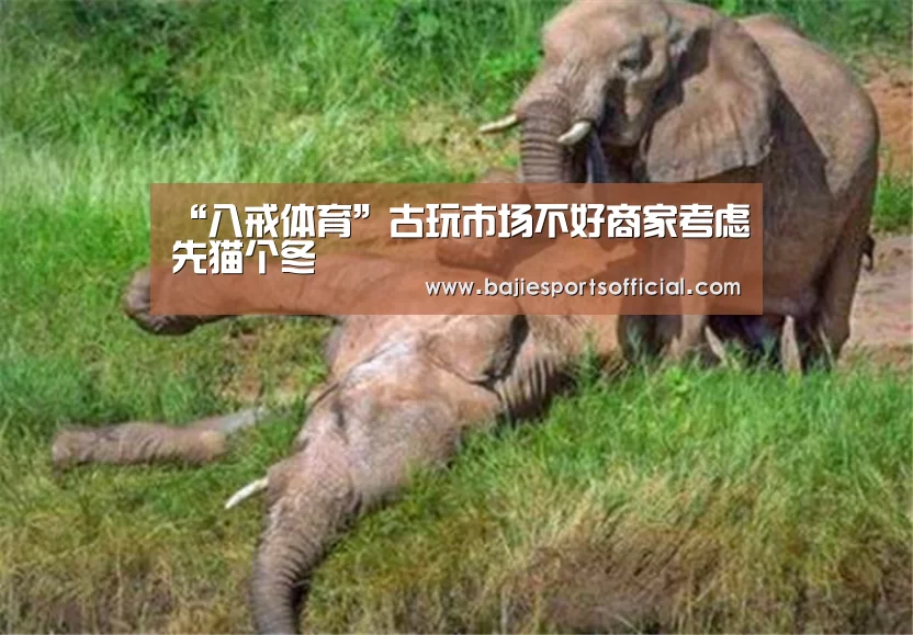“八戒体育”古玩市场不好商家考虑先猫个冬(图1) 八戒体育直播