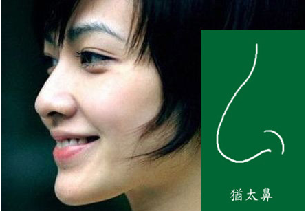 八戒体育